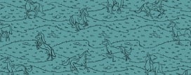 Animal Pattern