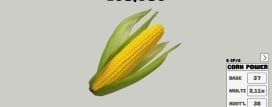 CORN