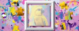 Color Splash: Parrots