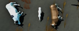 Finding Ice