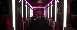 Gun Reflex VR