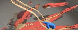 Human Constructor VR