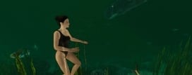 Island Notes