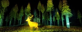 LiDAR Exploration Program