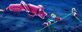 Microtopia