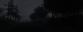 Not Alone