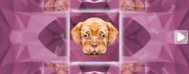 Poly Puzzle: Dogs