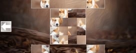 Puzzle Art: Dogs
