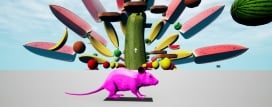 RAT MEMORY