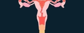Sperma