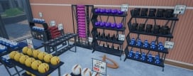 Sporting Goods Shop