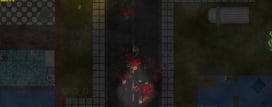 Survive Into Night
