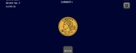 The Coin