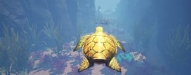 Turtle Racer