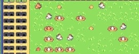cluck-a-thon