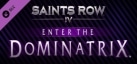 Saints Row IV -  Enter The Dominatrix