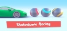 Shakedown Racing