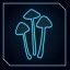 Some Kind of Mushroom