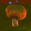 Collect 5 mushrooms