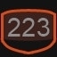 223 level