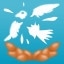 The Birds Went Missing In Action!