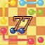 Long Time Player