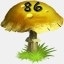 Mushrooms Collected 86
