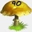 Mushrooms Collected 90