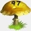 Mushrooms Collected 97