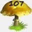 Mushrooms Collected 107