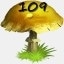 Mushrooms Collected 109