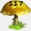 Mushrooms Collected 117