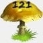 Mushrooms Collected 121
