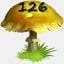 Mushrooms Collected 126