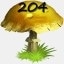 Mushrooms Collected 204
