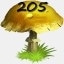 Mushrooms Collected 205