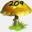 Mushrooms Collected 209
