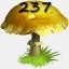 Mushrooms Collected 237