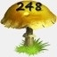 Mushrooms Collected 248