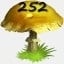 Mushrooms Collected 252