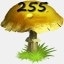 Mushrooms Collected 255
