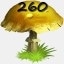 Mushrooms Collected 260