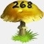 Mushrooms Collected 268