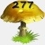 Mushrooms Collected 277