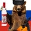 Vodka, Russia, bear
