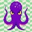 325_Octopus_2