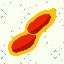 2224_Peanuts_17
