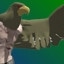 NEW_ACHIEVEMENT_NAME_31_31