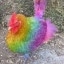 rainbow rooster