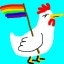 rainbow rooster